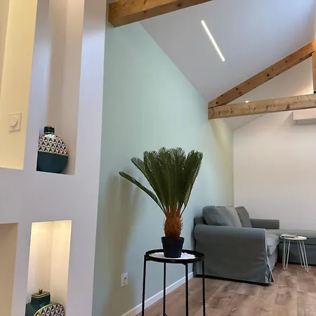 Appartamento Magnifique Saint-Etienne (Loire)